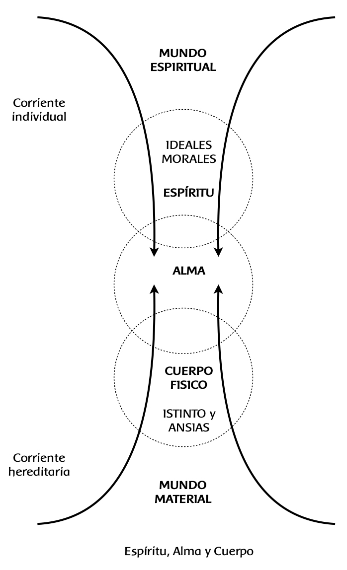 El alma y las corrientes del año